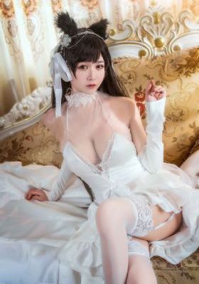 零号战场_电影在线观看免费